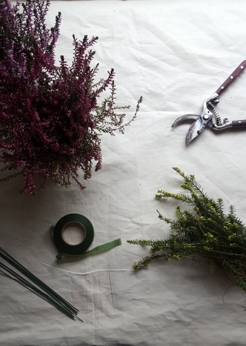 Heather plants