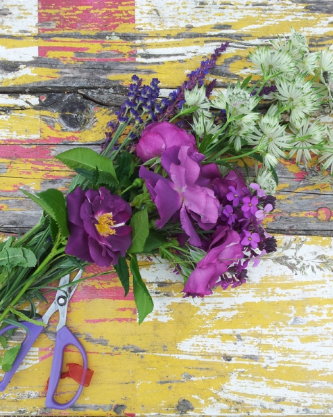 Upper Lodge sussex cutting garden