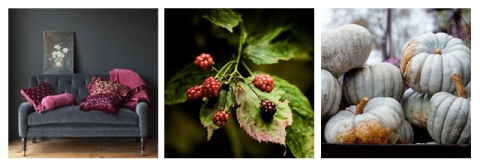 colour- inspiration-blog_edited-1