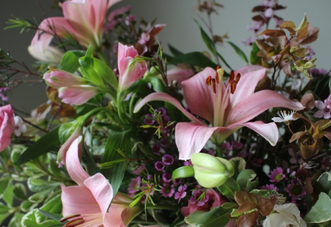 flowers_lillies_wild_rubus