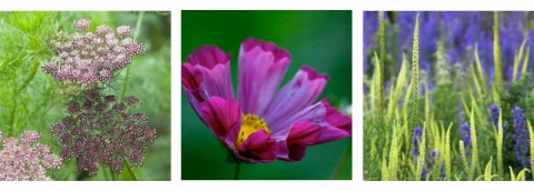 seeds-wedding-florist