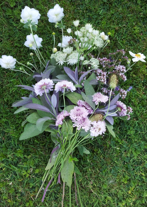 upper_lodge_sussex_cut_flowers