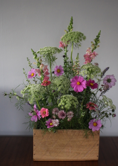 wild_rubus_meadow_box